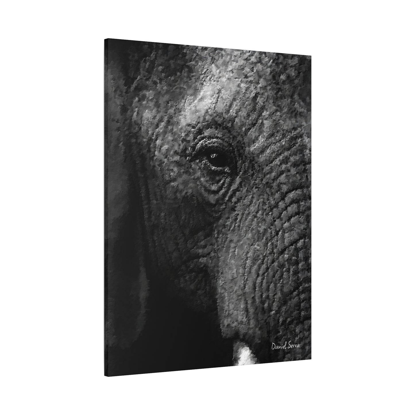 Wrinkles of Time (Matte Canvas, Stretched, 1.25")