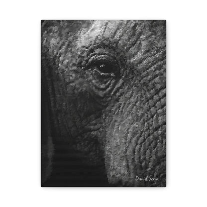 Wrinkles of Time (Matte Canvas, Stretched, 1.25")