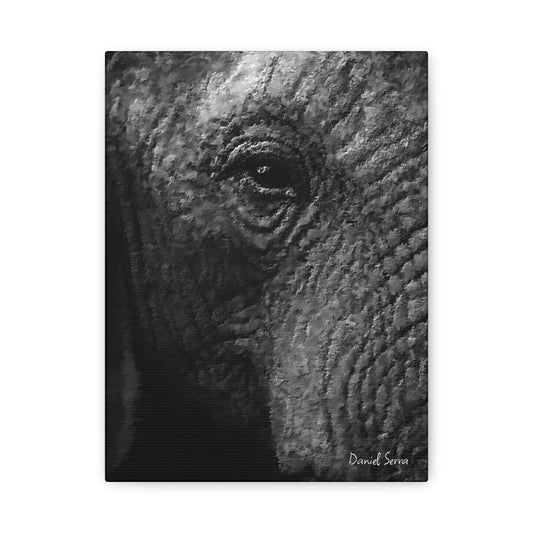 Wrinkles of Time (Matte Canvas, Stretched, 1.25")