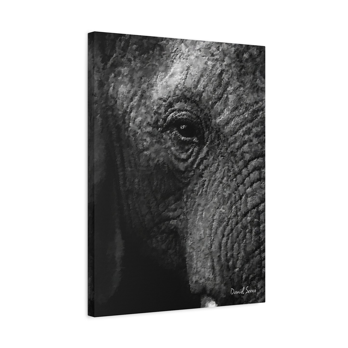 Wrinkles of Time (Matte Canvas, Stretched, 1.25")