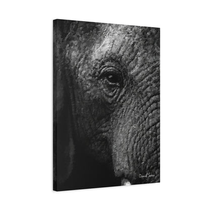 Wrinkles of Time (Matte Canvas, Stretched, 1.25")