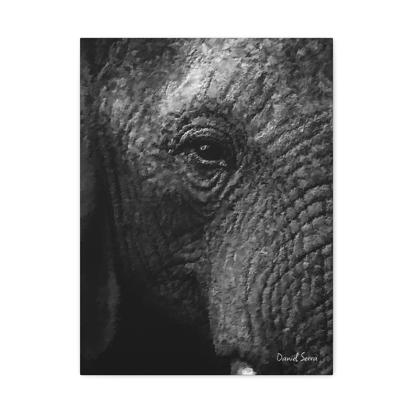 Wrinkles of Time (Matte Canvas, Stretched, 1.25")