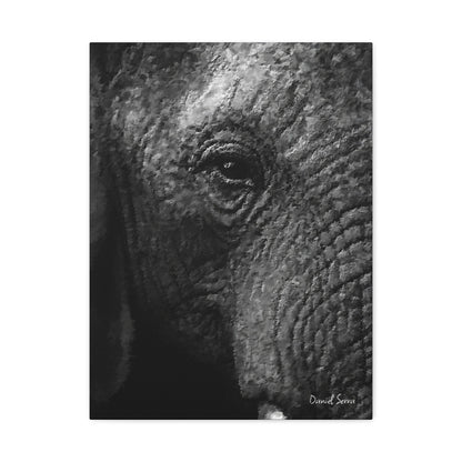 Wrinkles of Time (Matte Canvas, Stretched, 1.25")