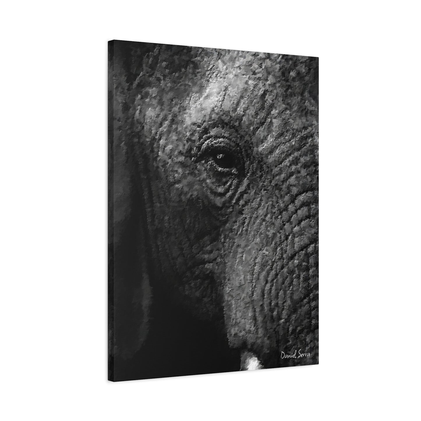 Wrinkles of Time (Matte Canvas, Stretched, 1.25")