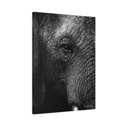 Wrinkles of Time (Matte Canvas, Stretched, 1.25")