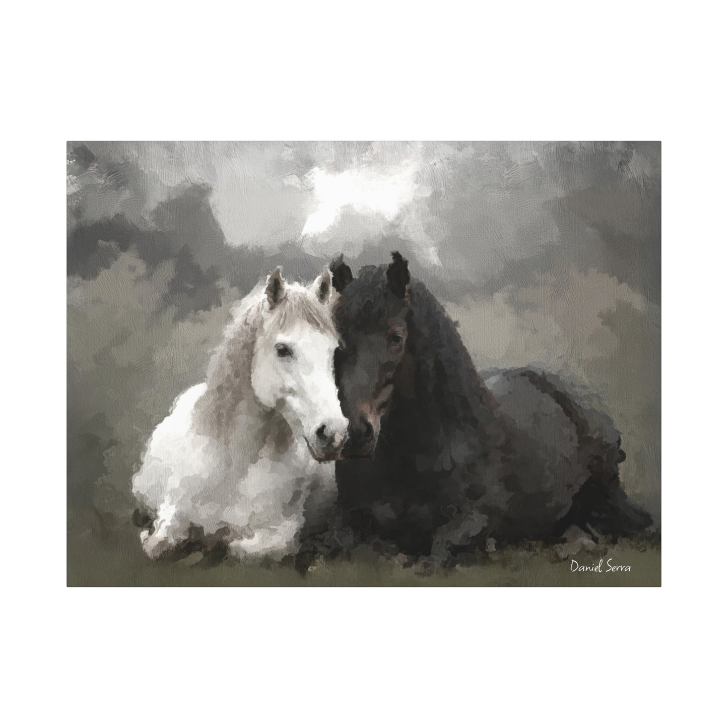 Bond of Shadows and Light (Matte Canvas, Stretched, 1.25")