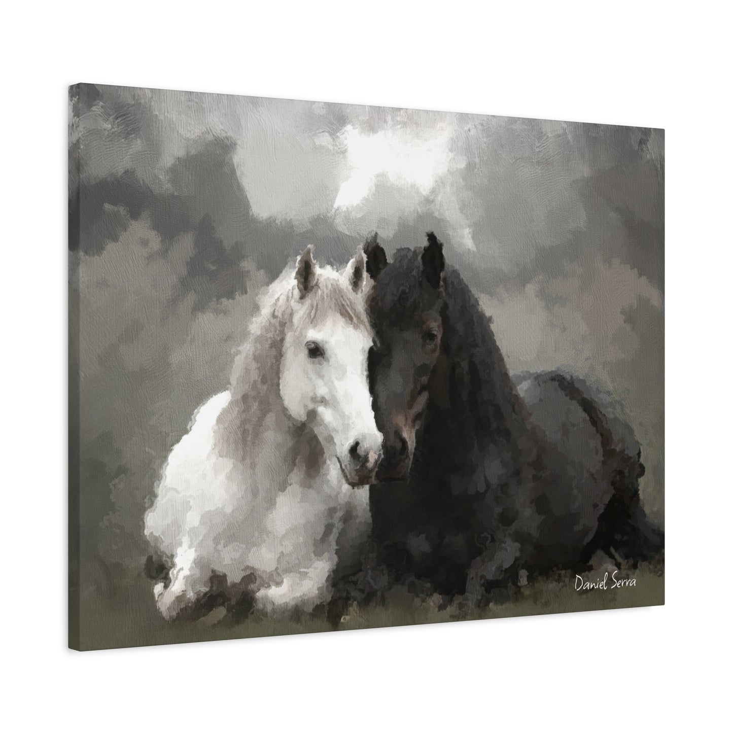 Bond of Shadows and Light (Matte Canvas, Stretched, 1.25")