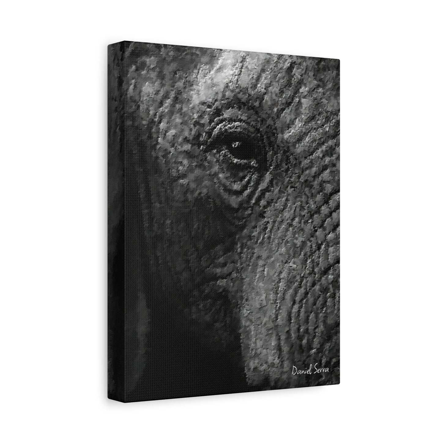 Wrinkles of Time (Matte Canvas, Stretched, 1.25")