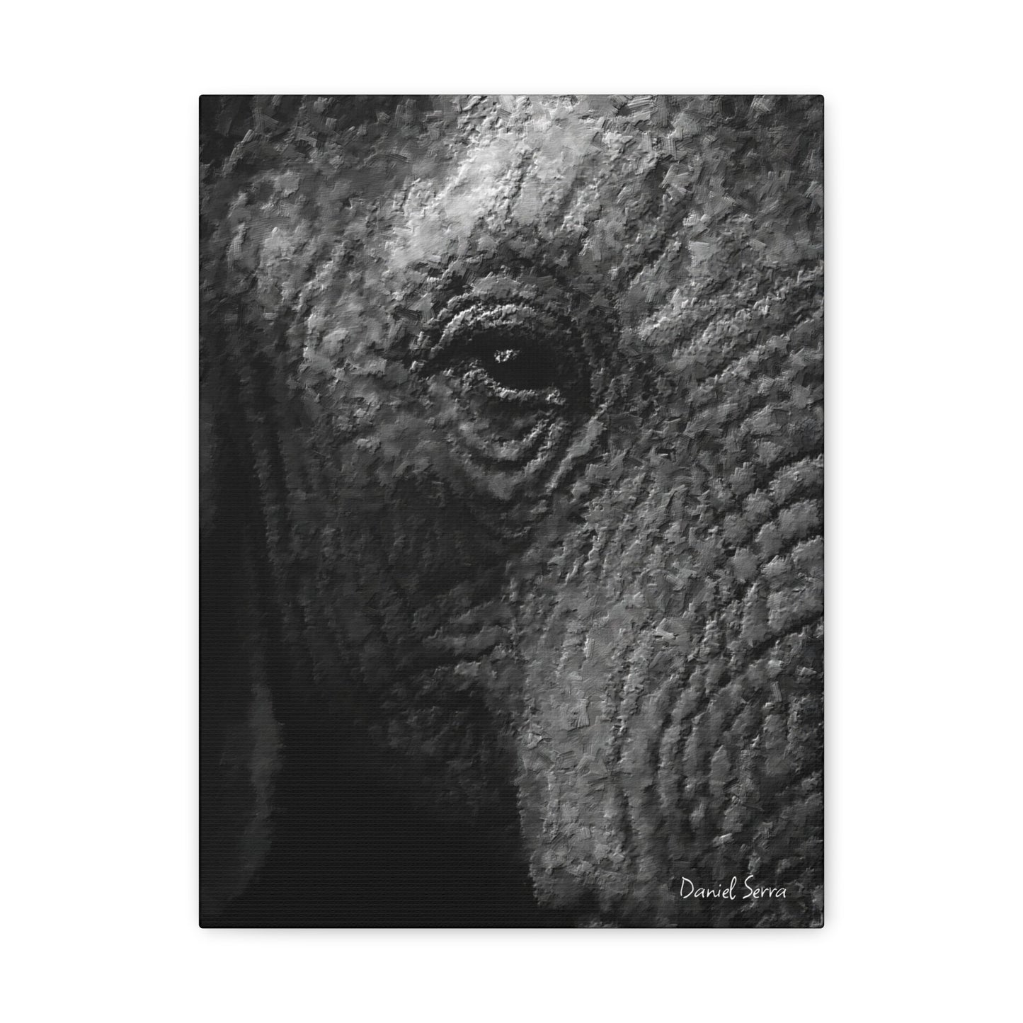 Wrinkles of Time (Matte Canvas, Stretched, 1.25")