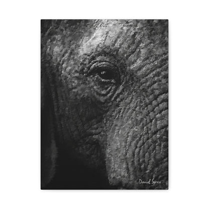 Wrinkles of Time (Matte Canvas, Stretched, 1.25")