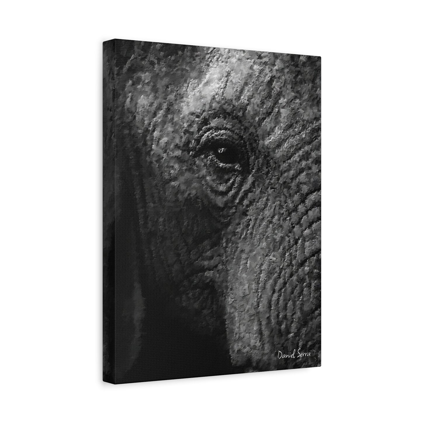 Wrinkles of Time (Matte Canvas, Stretched, 1.25")