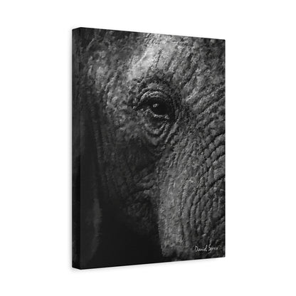 Wrinkles of Time (Matte Canvas, Stretched, 1.25")