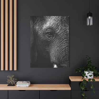 Wrinkles of Time (Matte Canvas, Stretched, 1.25")