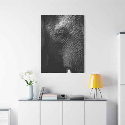 Wrinkles of Time (Matte Canvas, Stretched, 1.25")