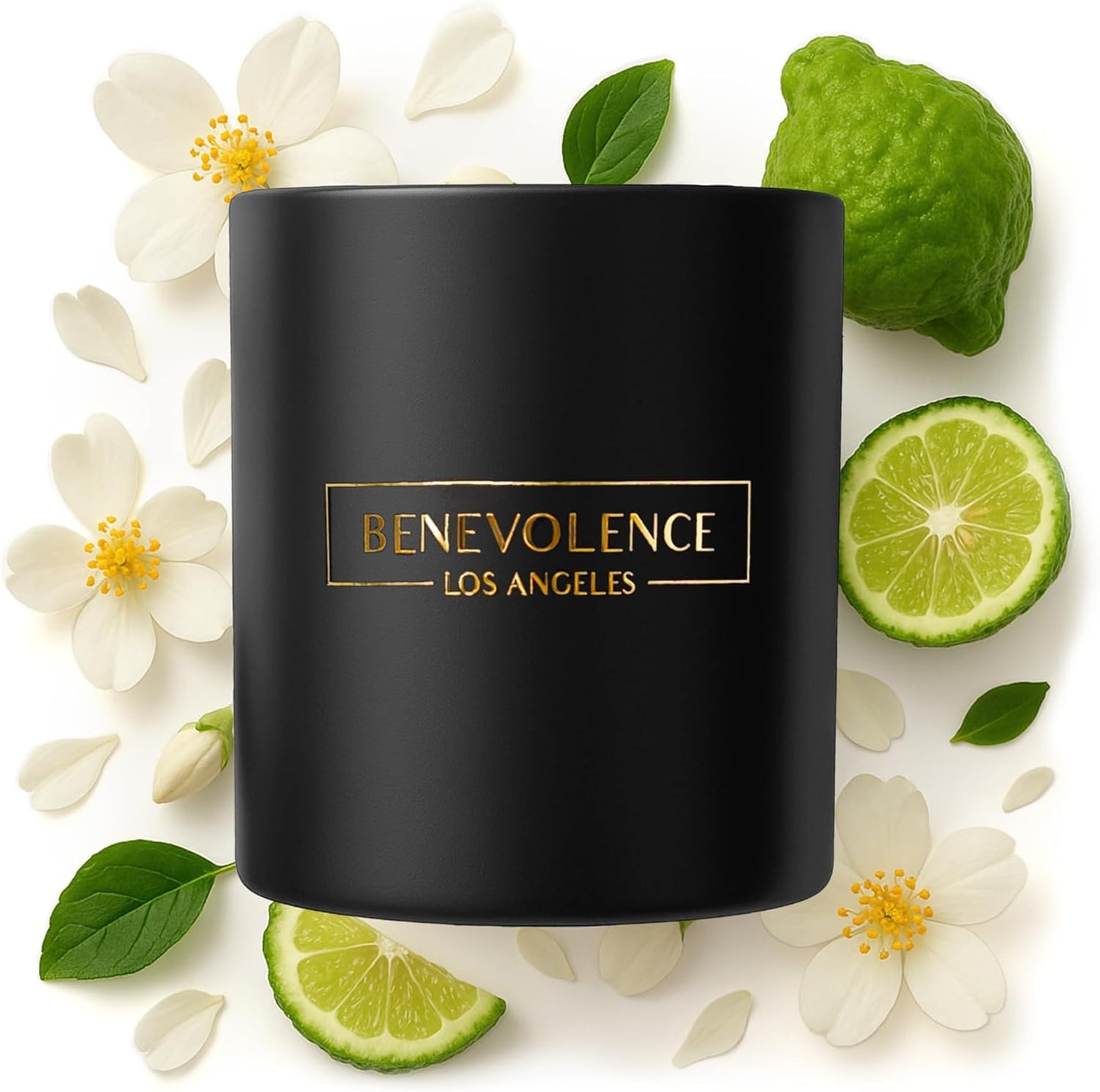 Eucalyptus Orange Wood Wick Candles | Soy Scented Candles for Home | Gifts for Women and Men | Home Fragrance | Aromatherapy | Shelf Decor, Bathroom Freshener | 8Oz, 45 Hour Burn
