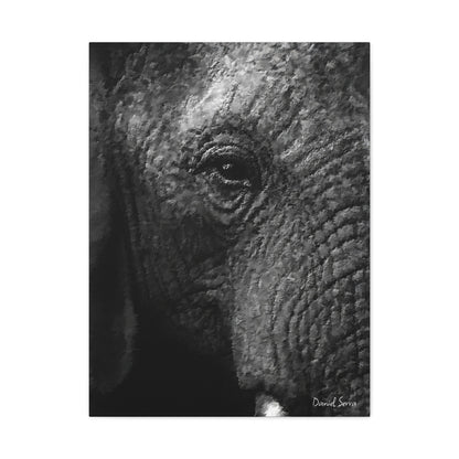 Wrinkles of Time (Matte Canvas, Stretched, 1.25")