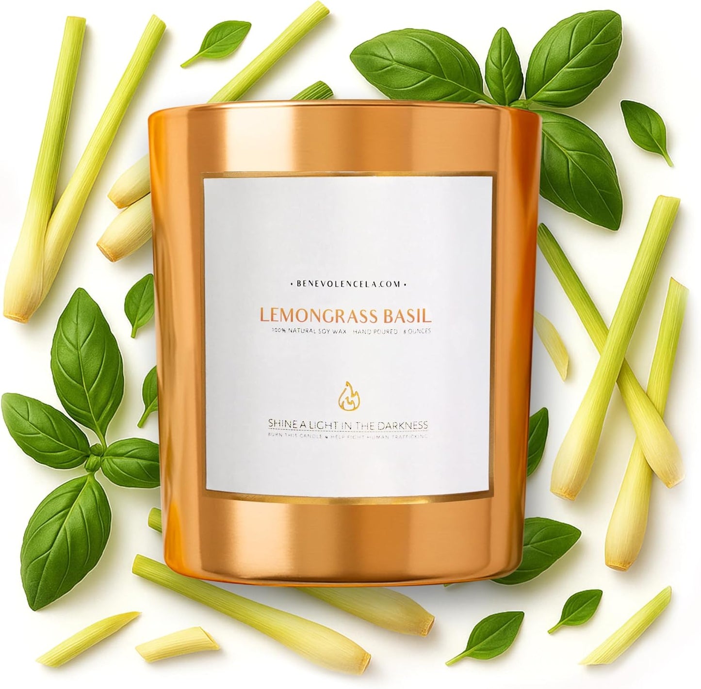 Eucalyptus Orange Wood Wick Candles | Soy Scented Candles for Home | Gifts for Women and Men | Home Fragrance | Aromatherapy | Shelf Decor, Bathroom Freshener | 8Oz, 45 Hour Burn