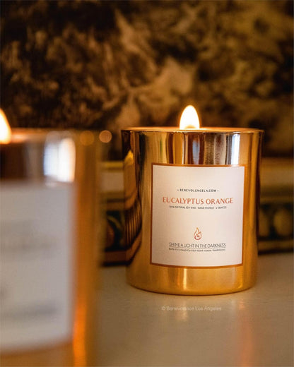 Eucalyptus Orange Wood Wick Candles | Soy Scented Candles for Home | Gifts for Women and Men | Home Fragrance | Aromatherapy | Shelf Decor, Bathroom Freshener | 8Oz, 45 Hour Burn