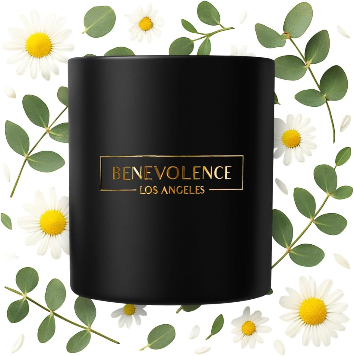 Eucalyptus Orange Wood Wick Candles | Soy Scented Candles for Home | Gifts for Women and Men | Home Fragrance | Aromatherapy | Shelf Decor, Bathroom Freshener | 8Oz, 45 Hour Burn